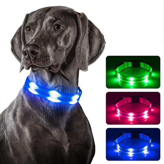 "Stay Safe and Stylish at Night with Our USB Rechargeable LED Dog Collar - Illuminate Your Pup'S Walks with Reflective Glowing Lights! (Large, Blue)"